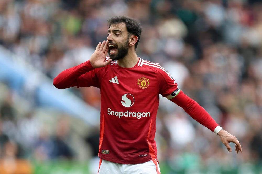 非洲区的预 非洲区的预